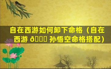 自在西游如何卸下命格（自在西游 🐎 孙悟空命格搭配）
